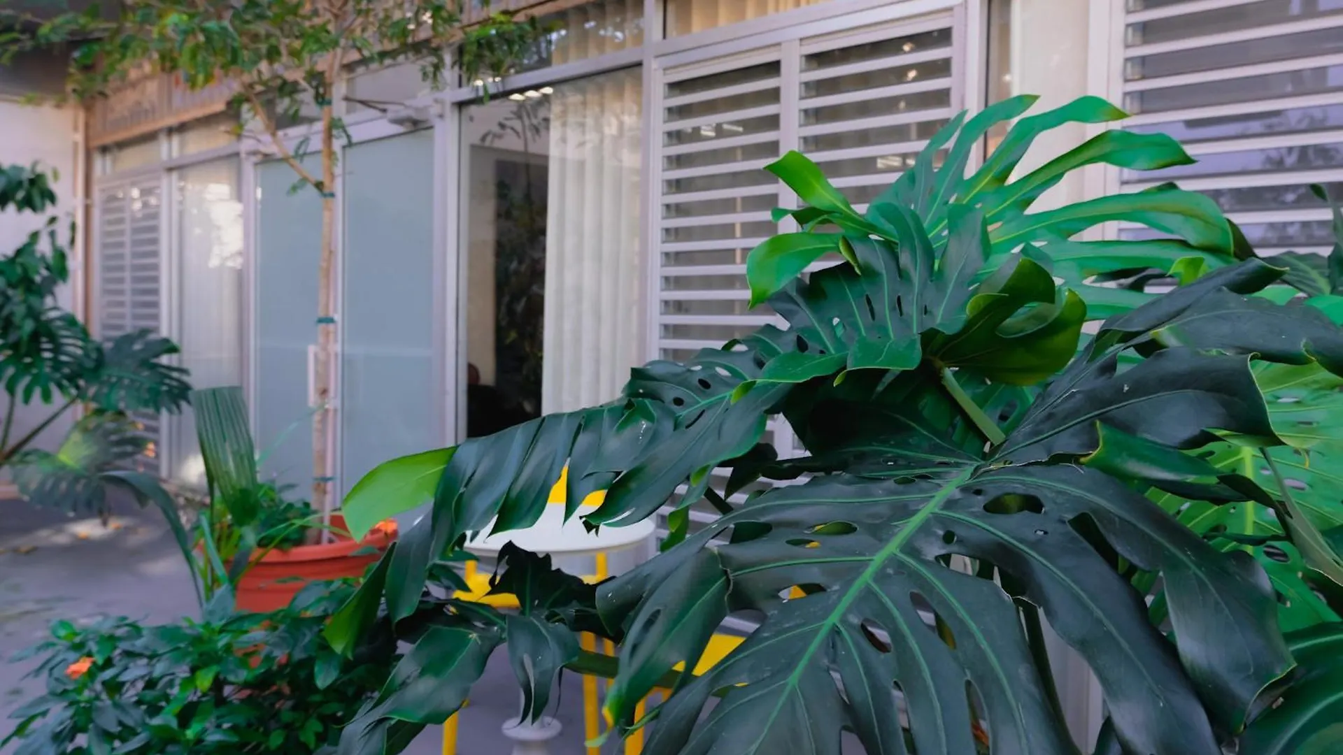 Caribe Rentals - Miramar San Juan 0*,  Puerto Rico
